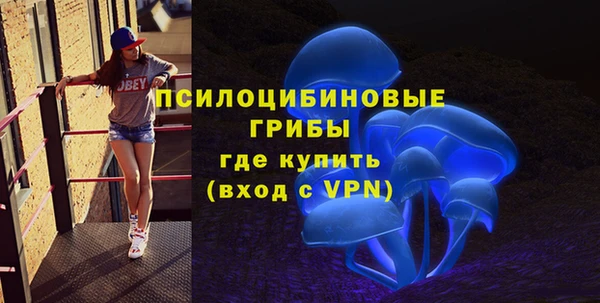 марки lsd Горняк