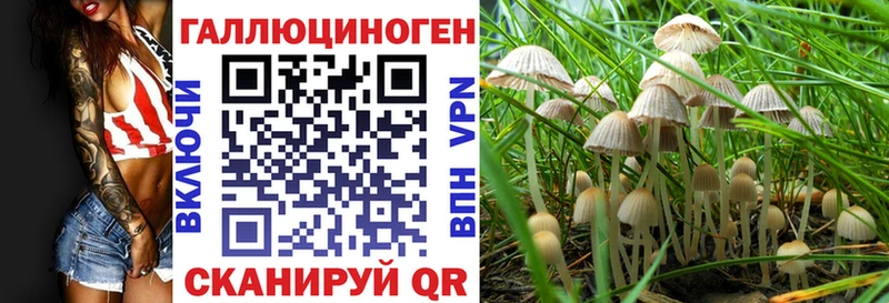 Галлюциногенные грибы GOLDEN TEACHER  Купить  Белая Холуница 